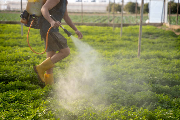 Best Exterminator Services  in Spry, PA