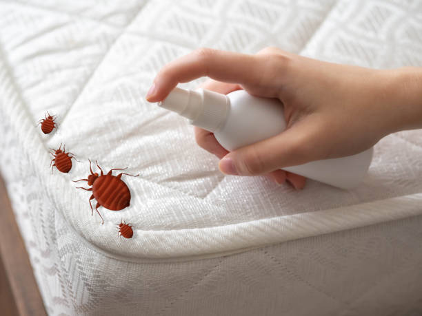 Best Best Pest Control Companies  in Spry, PA