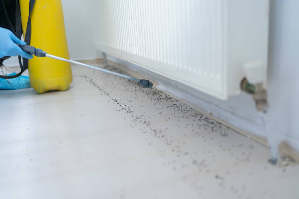 Pest Control for Restaurants in Spry, PA