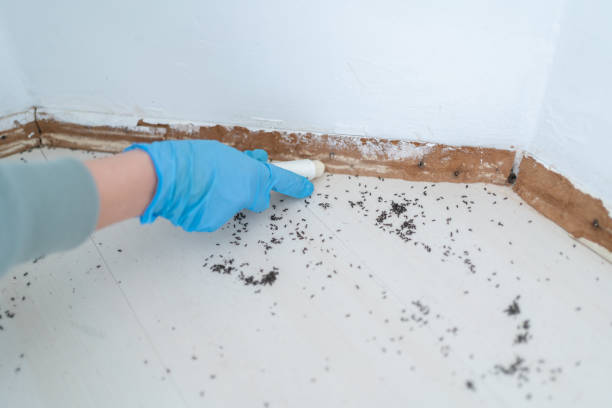 Best Pest Control Treatment  in Spry, PA