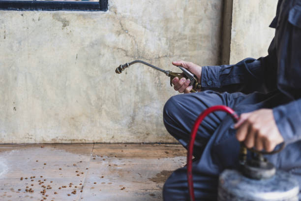Best Local Pest Control Services  in Spry, PA